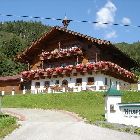 Moserhof سخلادميخ المظهر الخارجي الصورة