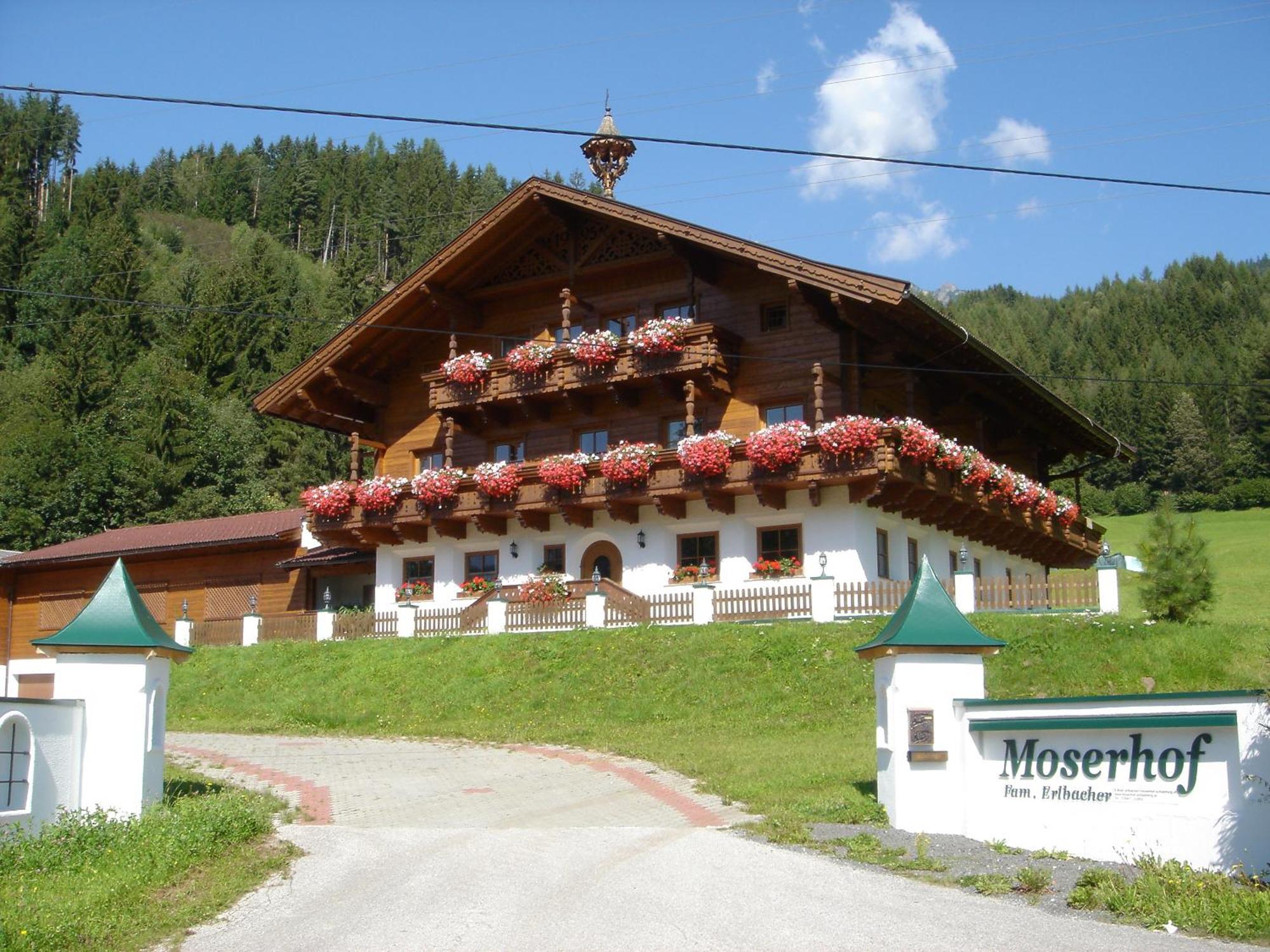 Moserhof سخلادميخ المظهر الخارجي الصورة