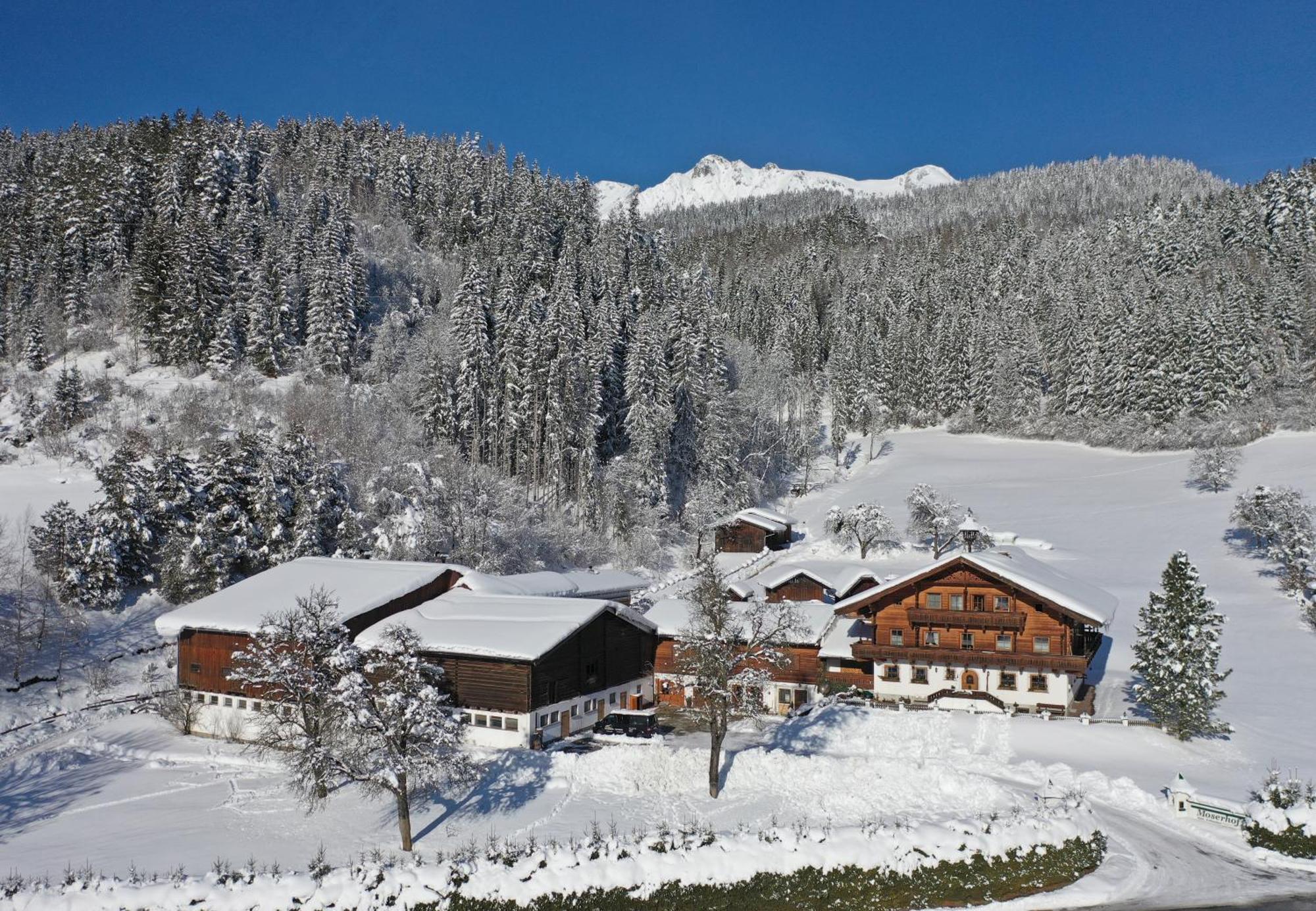 Moserhof سخلادميخ المظهر الخارجي الصورة
